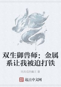 双生御兽师：金属系让我被迫打铁